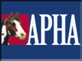 American Paint Horse Association