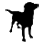 Hunde
