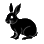 Kanninchen